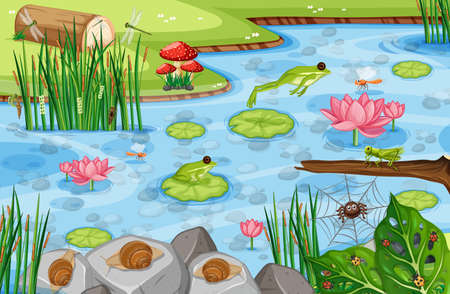 Pond scene with many green frogs illustrationのイラスト素材