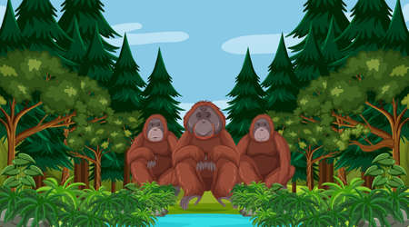 Orangutan in forest or rainforest scene with many trees illustrationのイラスト素材