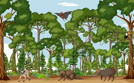 Tropical rainforest scene with various wild animals illustrationのイラスト素材