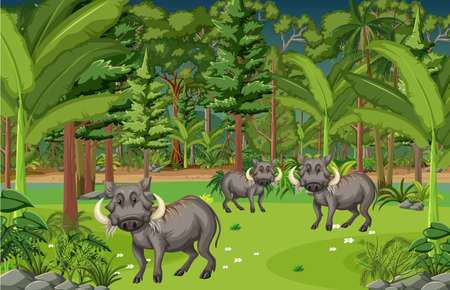 Tropical rainforest scene with warthog family illustrationのイラスト素材