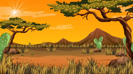 Desert forest landscape at sunset time scene illustrationのイラスト素材