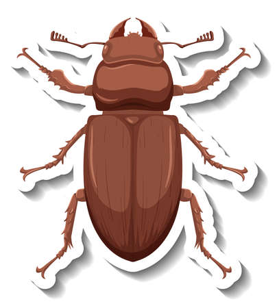 A sticker template with top view of a beetle isolated illustrationのイラスト素材