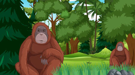Orangutan in forest or rainforest scene with many trees illustrationのイラスト素材