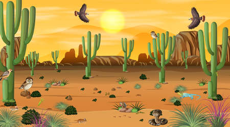Desert forest landscape at sunset scene with desert animals and plants illustrationのイラスト素材