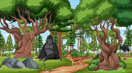 Forest scene with different wild animals  illustrationのイラスト素材
