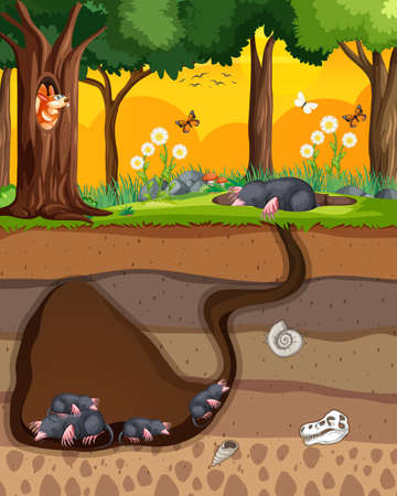 Underground animal burrow with mole family illustrationのイラスト素材