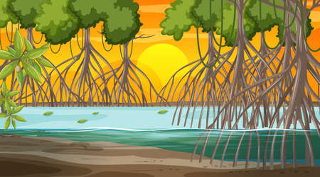 Mangrove forest landscape scene at sunset time illustrationのイラスト素材