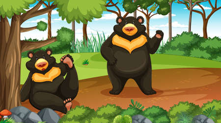 Asian black bear or moon bear in forest or rainforest scene with many trees illustrationのイラスト素材