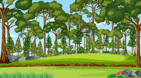 Forest scene with various forest trees illustrationのイラスト素材