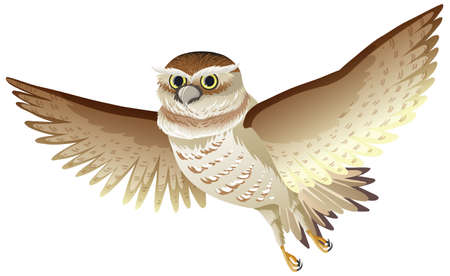 Owl bird in flying pose isolated illustrationのイラスト素材