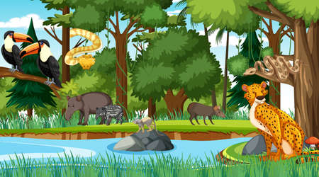 Forest at daytime scene with different wild animals illustrationのイラスト素材