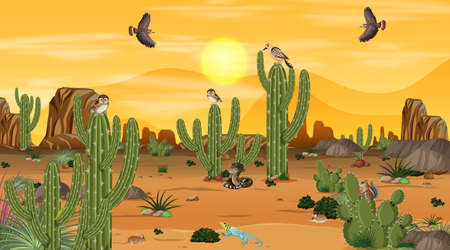Desert forest landscape at sunset scene with desert animals and plants illustrationのイラスト素材