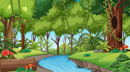 Rainforest or tropical forest at daytime scene illustrationのイラスト素材