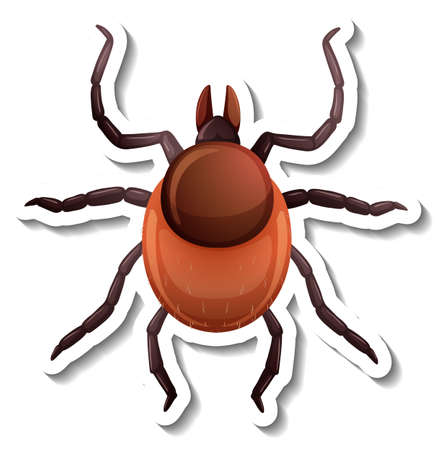 A sticker template with top view of a tick isolated illustrationのイラスト素材