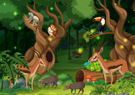 Wild animals in forest landscape background illustrationのイラスト素材