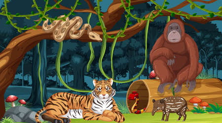 Wild animals in forest landscape background illustrationのイラスト素材