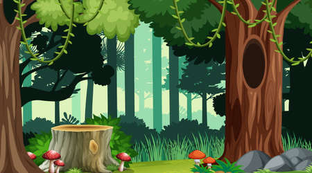 Nature forest landscape background illustrationのイラスト素材