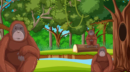 Orangutan in forest or rainforest scene with many trees illustrationのイラスト素材