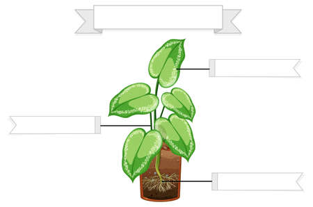 Write parts of a plant worksheet for kids illustrationのイラスト素材