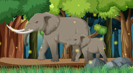 Wild animals in forest landscape background illustrationのイラスト素材