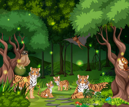 Tiger family in forest landscape background illustrationのイラスト素材