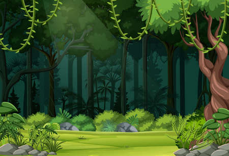 Nature forest landscape background illustrationのイラスト素材