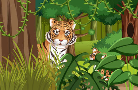 Tiger hidden in the jungle illustrationのイラスト素材