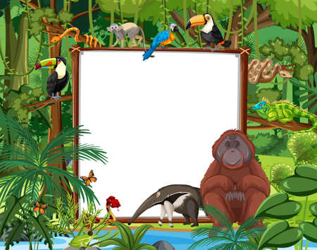 Blank banner in the rainforest scene with wild animals illustrationのイラスト素材