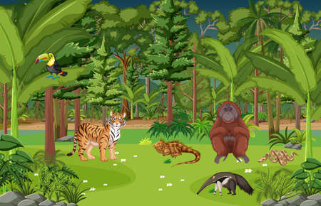 Forest scene with different wild animals  illustrationのイラスト素材