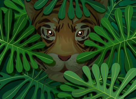Tiger hidden in the tropical leaves background illustrationのイラスト素材