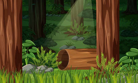 Nature forest landscape background illustrationのイラスト素材