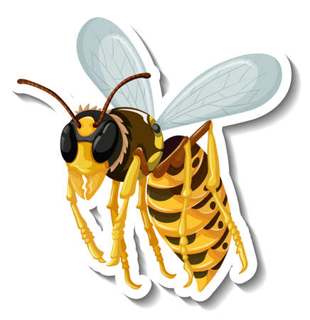 Honey bee insect cartoon sticker illustrationのイラスト素材