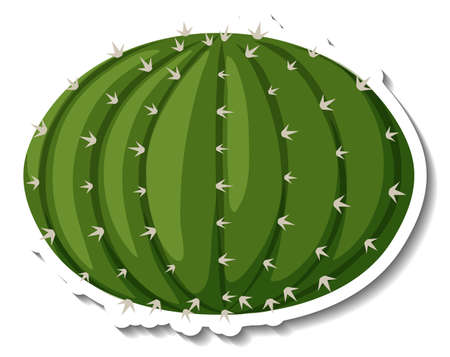 Echinocactus plant on white background illustrationのイラスト素材