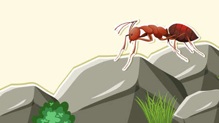 Thumbnail Design with close up of an ant on stone illustrationのイラスト素材