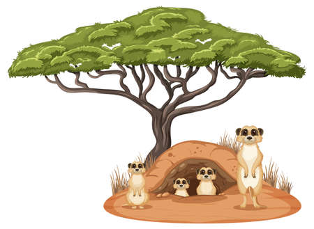 Meerkat family in cartoon style illustrationのイラスト素材