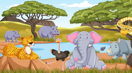 Wild animals in savanna forest landscape illustrationのイラスト素材