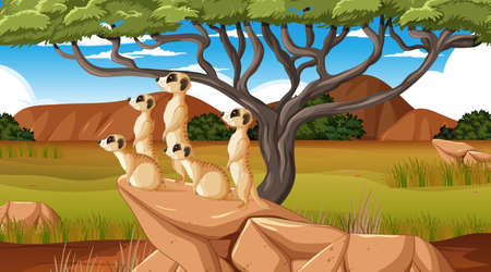 Meerkats in the forest landscape illustrationのイラスト素材