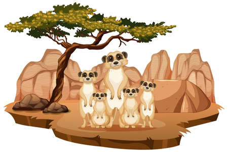 Isolated nature scene with meerkat family illustrationのイラスト素材