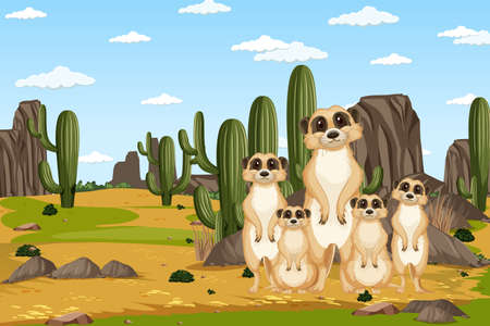 Desert background with a group of meerkats illustrationのイラスト素材