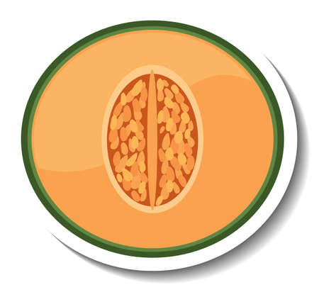 Chopped cantaloupe in cartoon style illustrationのイラスト素材