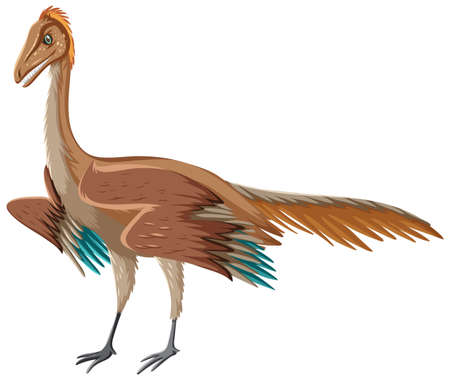 Archaeopteryx dinosaur on white background illustrationのイラスト素材