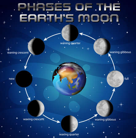 Phases of the moon for science education illustrationのイラスト素材