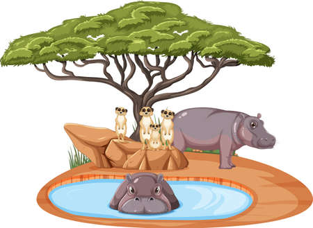 Isolated savanna forest with meerkat and hippopotamus illustrationのイラスト素材