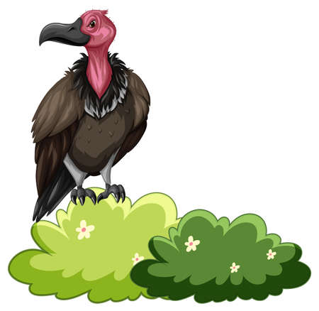 Vulture bird standing in the bush illustrationのイラスト素材