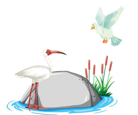 Two birds flying over rock illustrationのイラスト素材