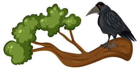Crow standing on branch illustrationのイラスト素材