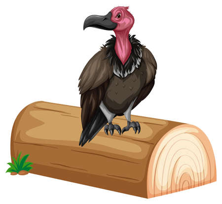 Vulture standing on the log illustrationのイラスト素材