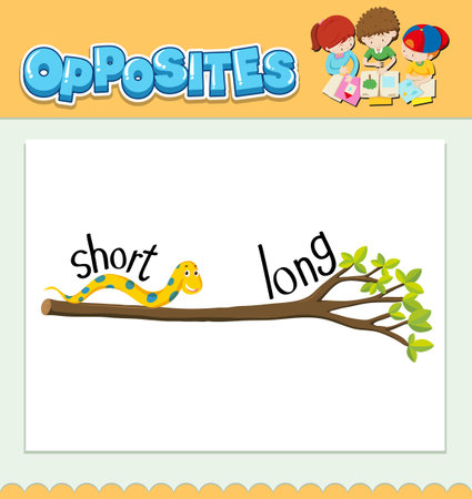 Opposite words for short and long illustrationのイラスト素材