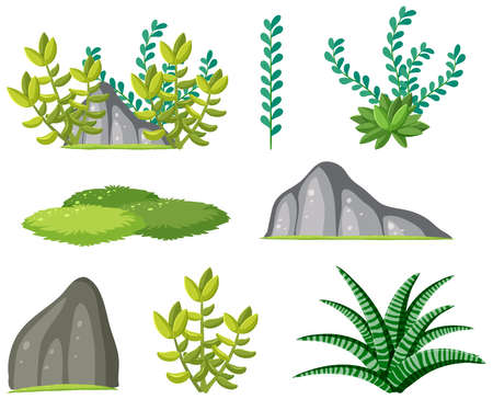 Set of succulents plant on white background illustrationのイラスト素材