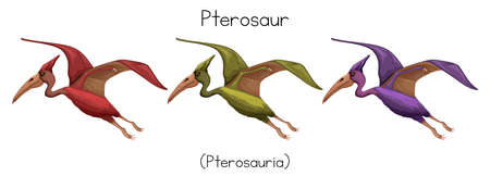 Pterosaur in three colors illustrationのイラスト素材